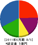 坂田園芸 貸借対照表 2011年6月期