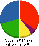 高橋組 貸借対照表 2009年9月期