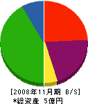 川村工業 貸借対照表 2008年11月期