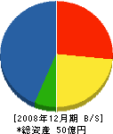 吉川工務店 貸借対照表 2008年12月期