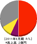 東江電気工事 損益計算書 2011年6月期