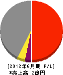 稗田工務店 損益計算書 2012年6月期