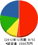 中荘製畳 貸借対照表 2012年12月期