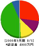 渡辺電気商会 貸借対照表 2008年9月期