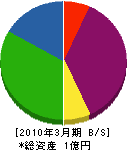 東京プラント工業 貸借対照表 2010年3月期