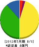 鈴木組 貸借対照表 2012年5月期