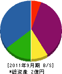 東新電機工業 貸借対照表 2011年9月期