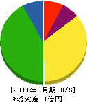 齊藤重機 貸借対照表 2011年6月期