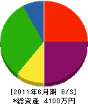 熊崎工業 貸借対照表 2011年6月期