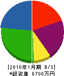 平山電気 貸借対照表 2010年1月期