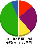 安田電気工事 貸借対照表 2012年5月期