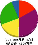 和沢工務店 貸借対照表 2011年9月期