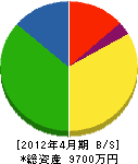 近藤電気商会 貸借対照表 2012年4月期