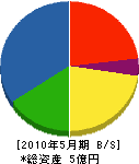 小島建設 貸借対照表 2010年5月期