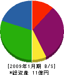 矢野口自工 貸借対照表 2009年1月期