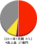 カワムラ 損益計算書 2011年1月期