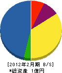 丸寅渡辺工務店 貸借対照表 2012年2月期