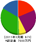 武田建設 貸借対照表 2011年3月期