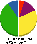 岩井電気工業 貸借対照表 2011年5月期
