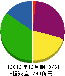 ツバキ・ナカシマ 貸借対照表 2012年12月期