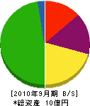 中田硝子 貸借対照表 2010年9月期
