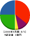 安東工業 貸借対照表 2008年9月期
