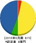 朝日電気工業 貸借対照表 2010年6月期