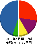 橋本製作所 貸借対照表 2012年5月期