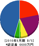 川田建設 貸借対照表 2010年6月期