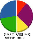 鎌田林業土木 貸借対照表 2007年11月期