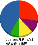 志津建設 貸借対照表 2011年5月期