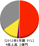 橋本 損益計算書 2012年6月期