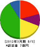 木曽川環境クリーン 貸借対照表 2012年3月期