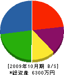 菅原組 貸借対照表 2009年10月期