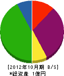 辻村塗装工業 貸借対照表 2012年10月期