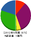 須田建設 貸借対照表 2012年9月期