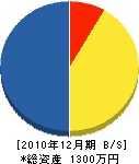 渡辺興業 貸借対照表 2010年12月期