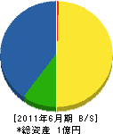 奥濱建設 貸借対照表 2011年6月期