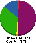 辻本電工 貸借対照表 2011年6月期