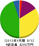 坂井設備 貸借対照表 2012年9月期