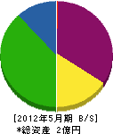 長澤工務店 貸借対照表 2012年5月期