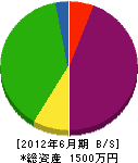 竹井設備 貸借対照表 2012年6月期