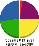 唐木澤商事 貸借対照表 2011年3月期