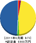 太田電気商会 貸借対照表 2011年6月期