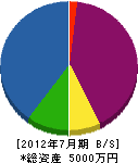 丸喜造園 貸借対照表 2012年7月期