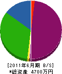 カワムラ 貸借対照表 2011年6月期