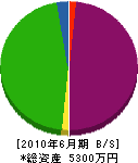 松本土木工業 貸借対照表 2010年6月期
