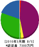 山崎組 貸借対照表 2010年3月期