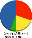 菅野建設工業 貸借対照表 2012年5月期