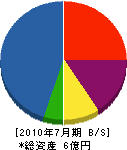 関野ハウジング 貸借対照表 2010年7月期